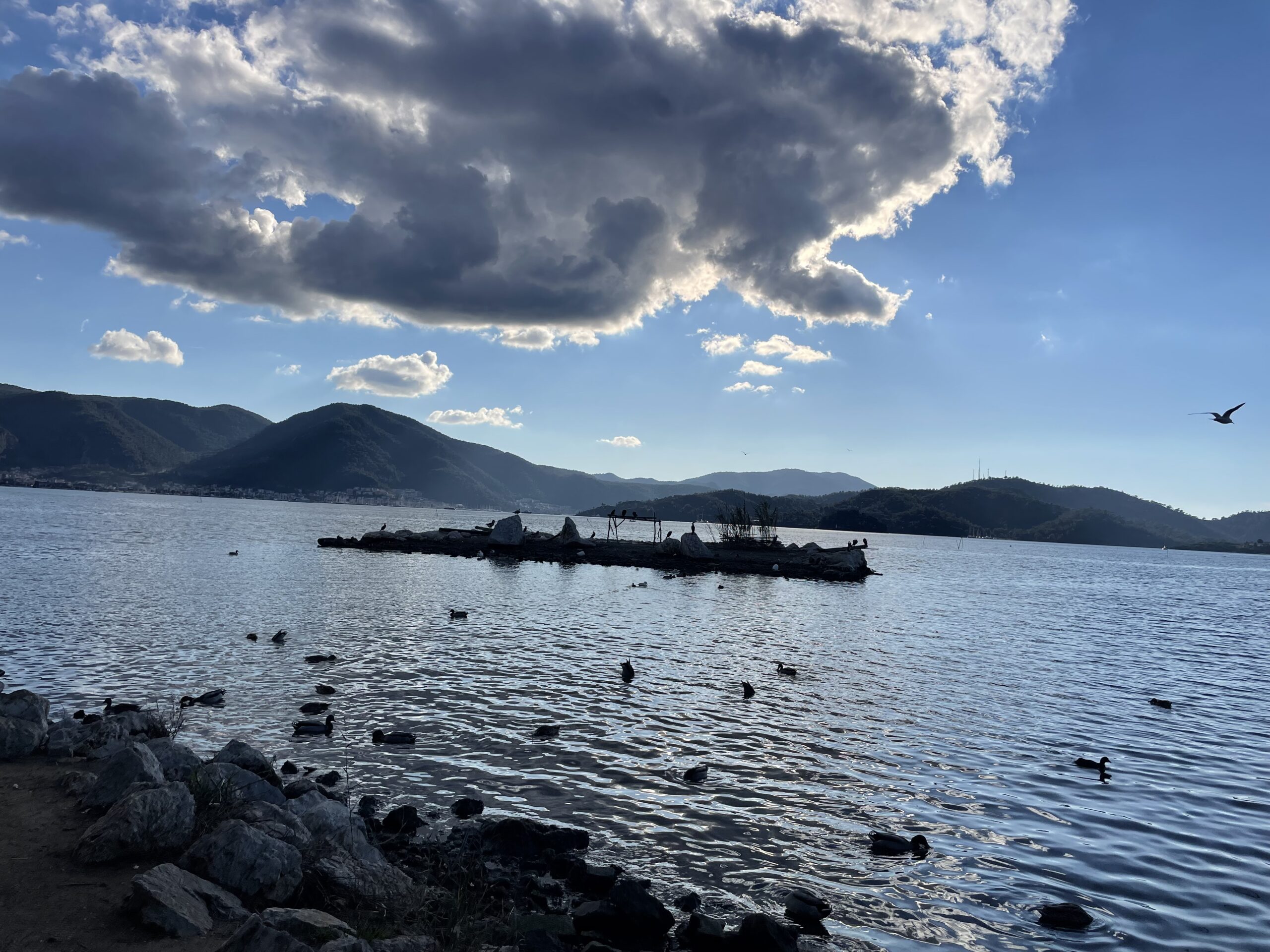 Fethiye Rehberi: Yaşamdan Koylara, Gece Hayatından Gezi Rotalarına Her Şeyiyle Fethiye