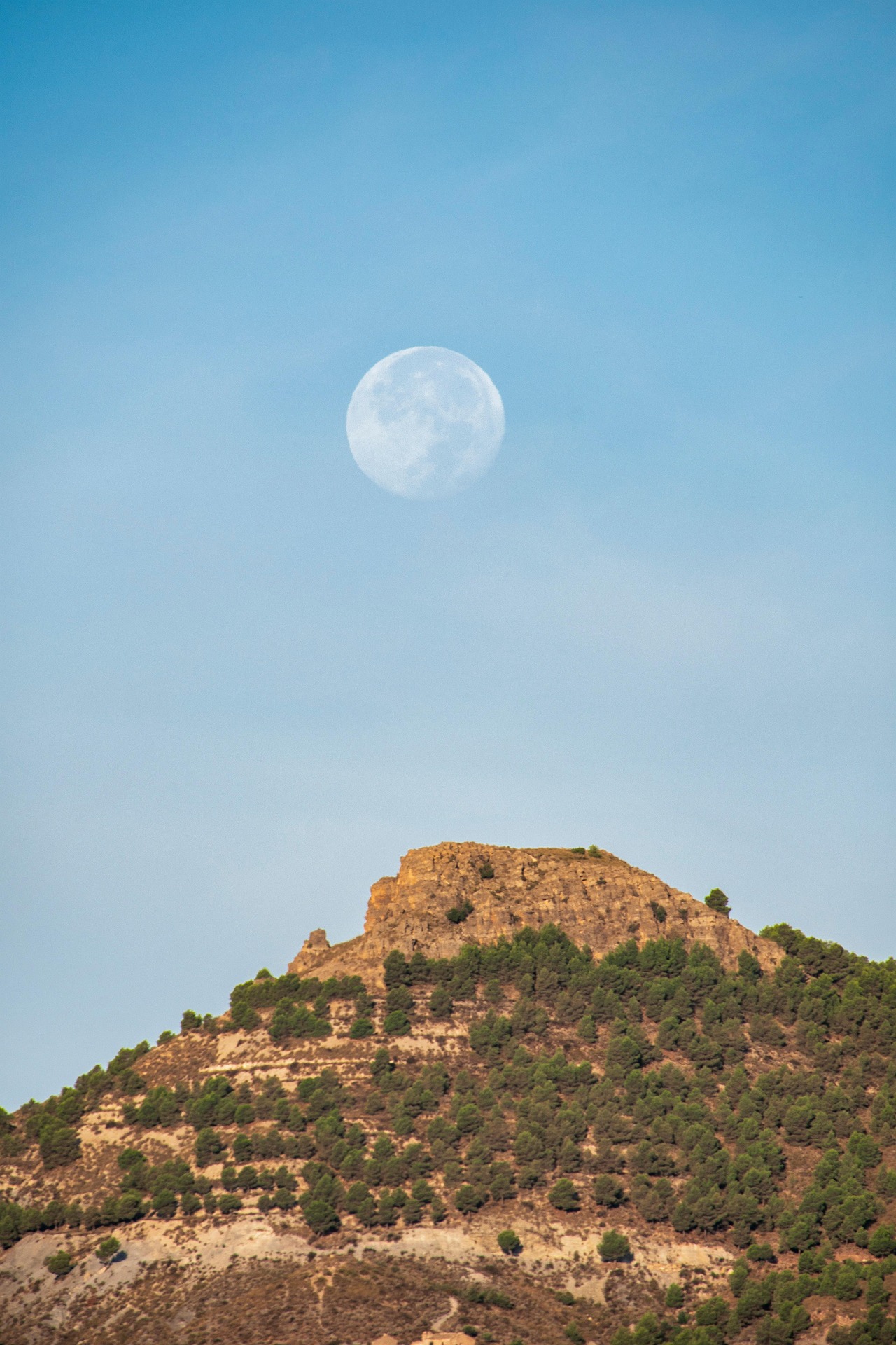 Muğla’da Yapılacak Aktiviteler:Doğa, Deniz ve Macera
